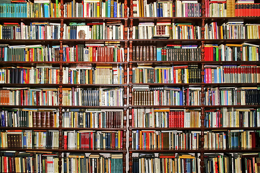 Des livres sur les étagères d’une bibliothèque