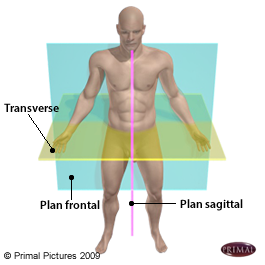 Figure d'un corps humain de face où on identifie: le plan frontal, le plan sagittal et le plan transverse.