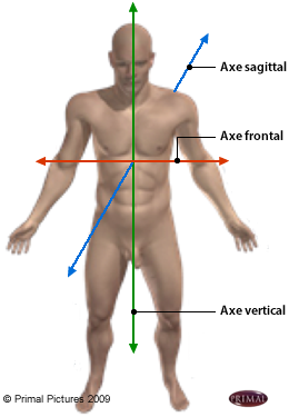 Figure d'un corps humain où on identifie: l'axe frontal, l'axe sagitta, et l'axe vertical.