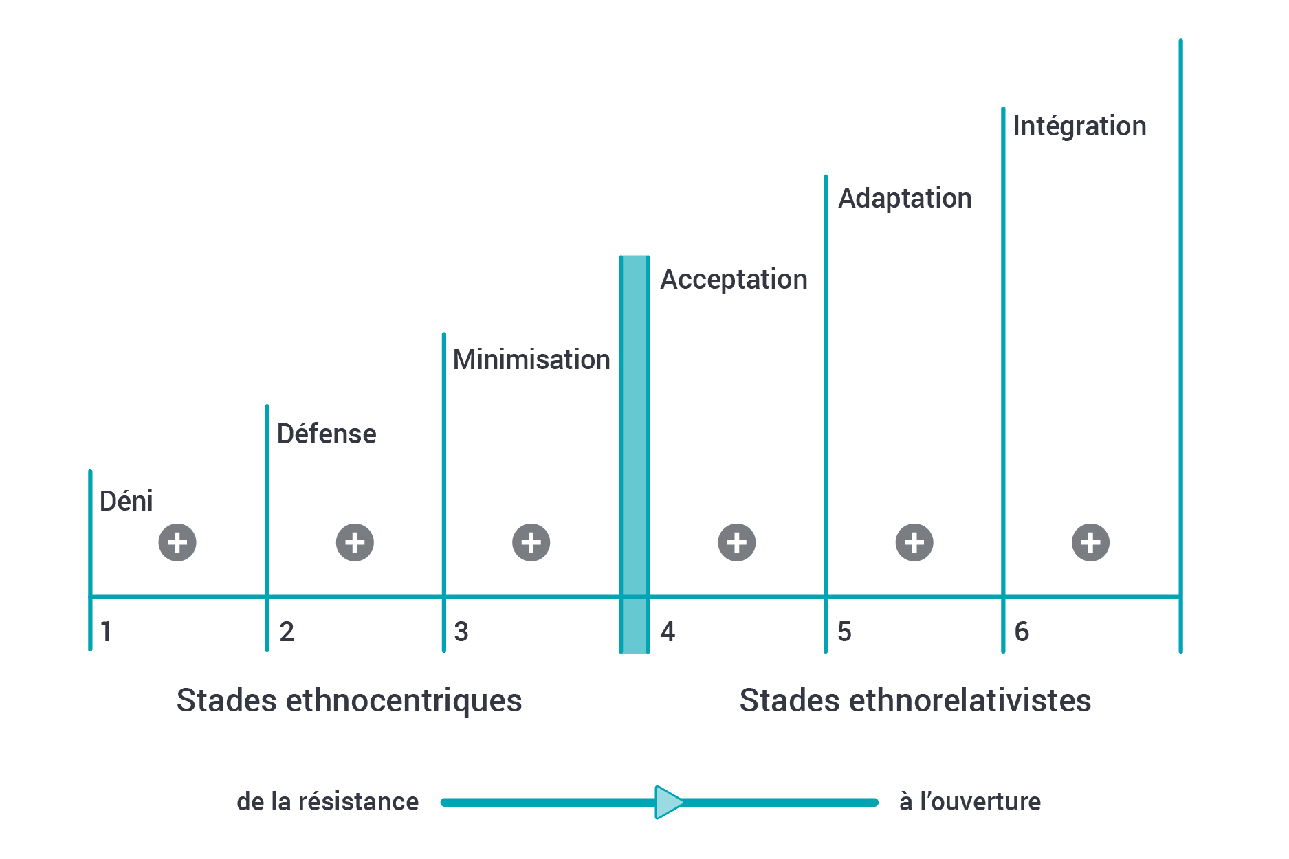 Le modèle de Bennett propose six étapes. Les trois premiers stades s’intitulent les stades ethnocentriques. Ils regroupent les positions de fermeture ou de résistance à la diversité : 1) le déni de la différence, 2) la défensive par rapport à la différence et 3) la minimisation de la différence. Les trois derniers stades s’intitulent les stades ethnorelativistes. Ils se caractérisent par l’expression d’une ouverture aux habitudes et coutumes différentes des nôtres. Ces stades incluent 1) l’acceptation de la différence (nouvelle façon de voir), 2) l’adaptation à la différence (nouvelle façon d’agir) et 3) l’intégration de la différence (nouvelle façon d’être)