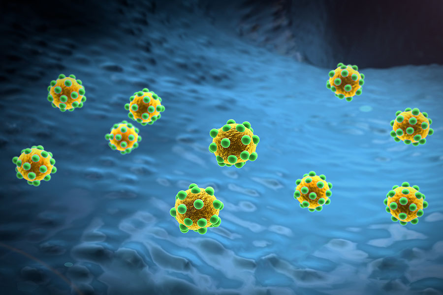 Image de la bile jaune à la surface des intestins