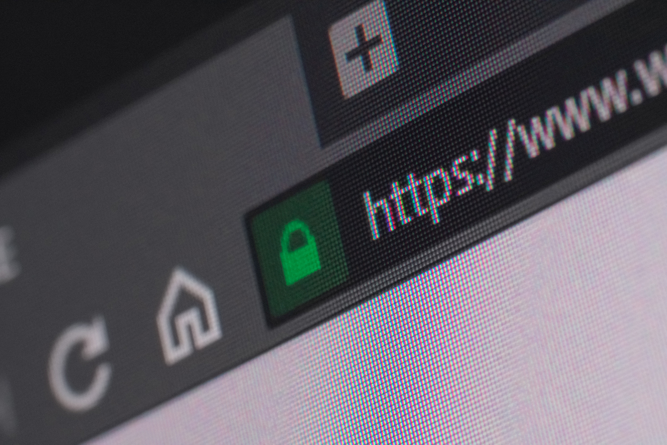 Une vue rapprochée d’une adresse URL dans un  navigateur de recherche.