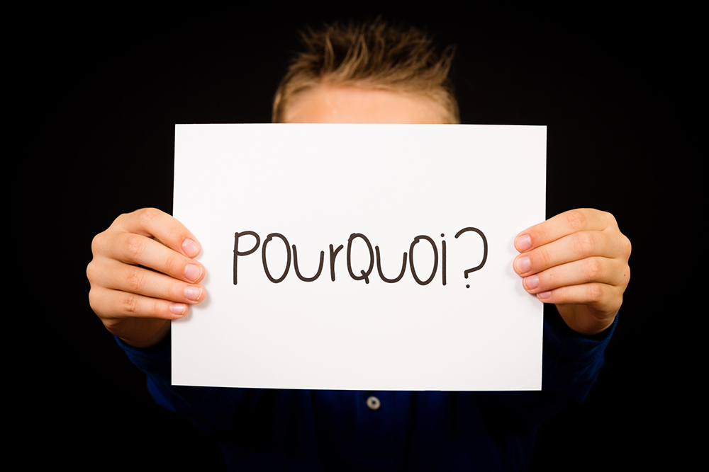 Les mains tenant une feuille avec les mots « POUR » et « QUOI » suivis par un point d’interrogation.