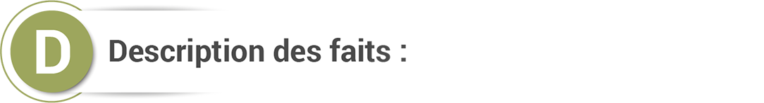 Description des faits