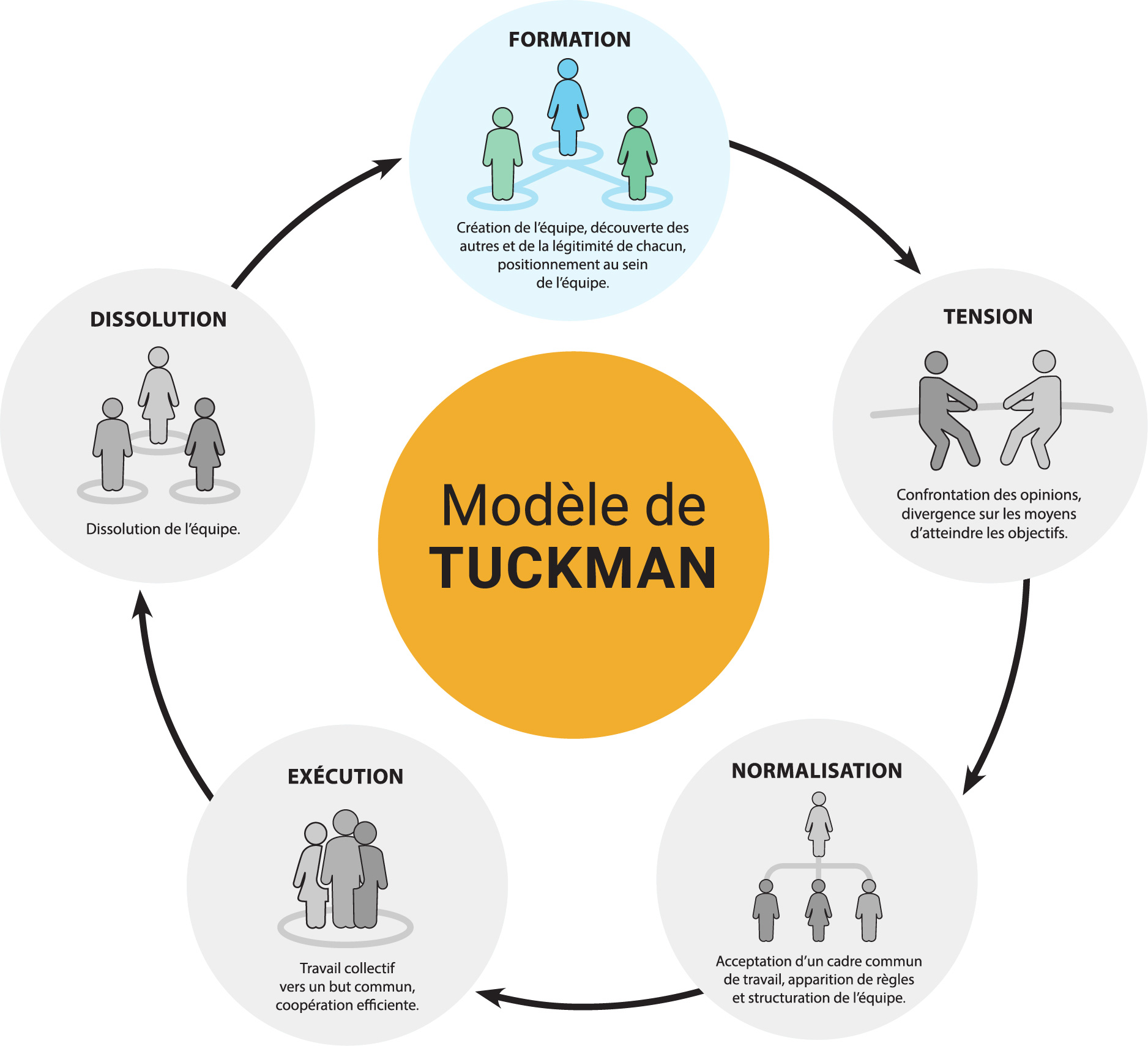 Formation : Création de l’équipe, découverte des autres et de la légitimité de chacun, positionnement au sein de l’équipe