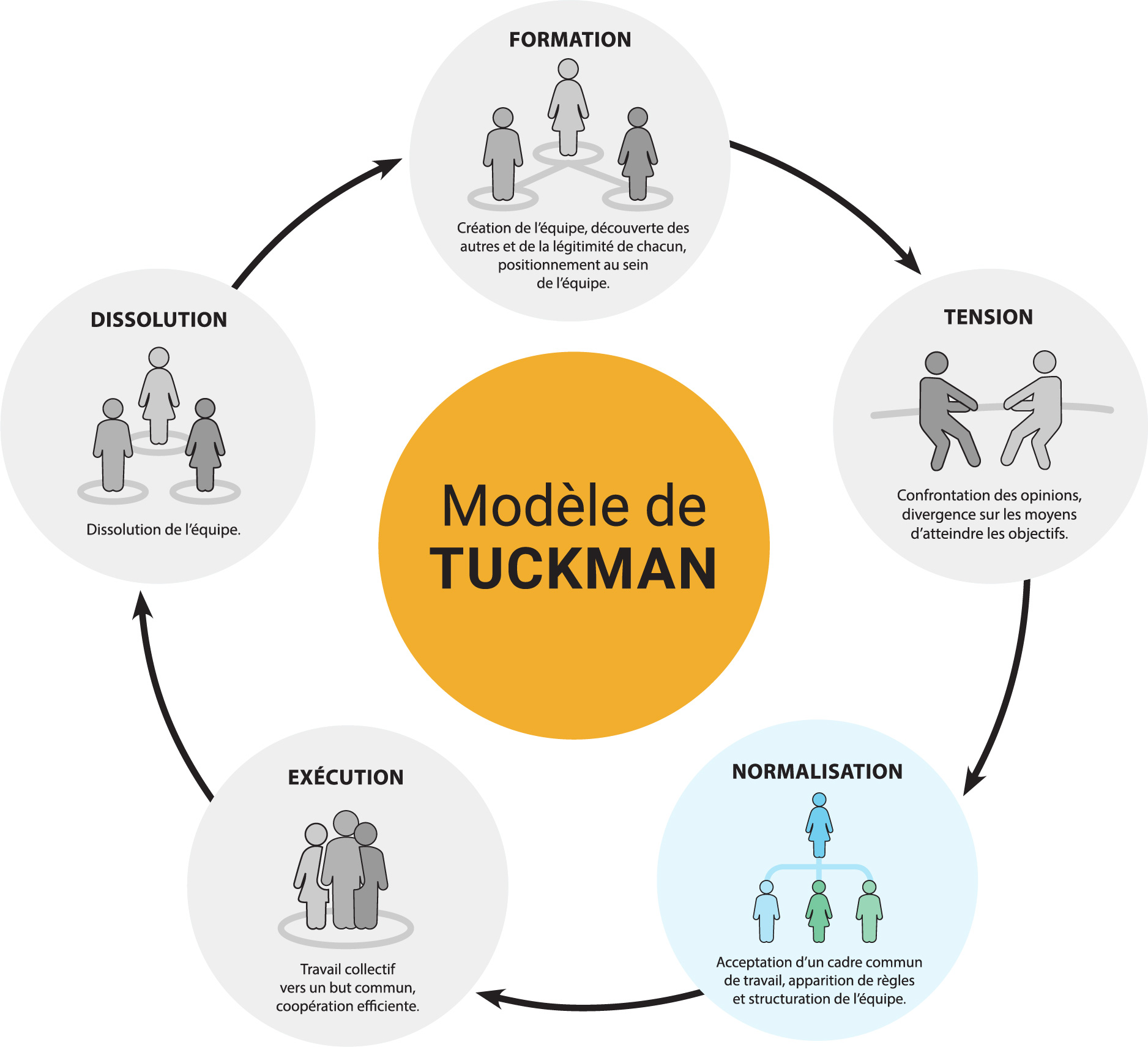 la Normalisation : Acceptation d’un cadre commun de travail, apparition de règles et structuration de l’équipe