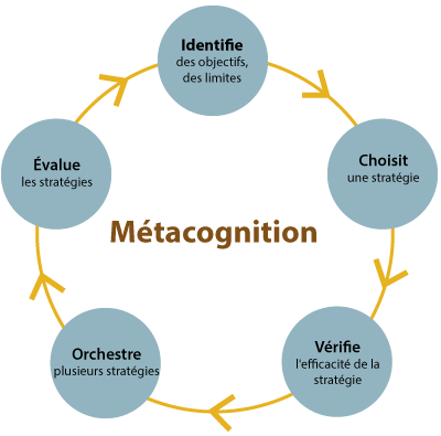 Figure du cycle de métacognition de Dawson, séparé en 5 étapes: 1. Identifie des objectifs, des limites, 2. Choisit une stratégie, 3. Vérifie l'efficacité de la stratégie, 4. Orchestre plusieurs stratégies, et 5. Évalue les stratégies.