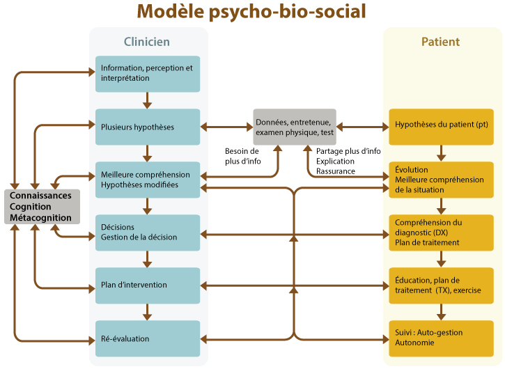 Modèle psycho-bio-social qui met en évidence l’importance de collaborer avec un patient dans le processus de décision clinique.