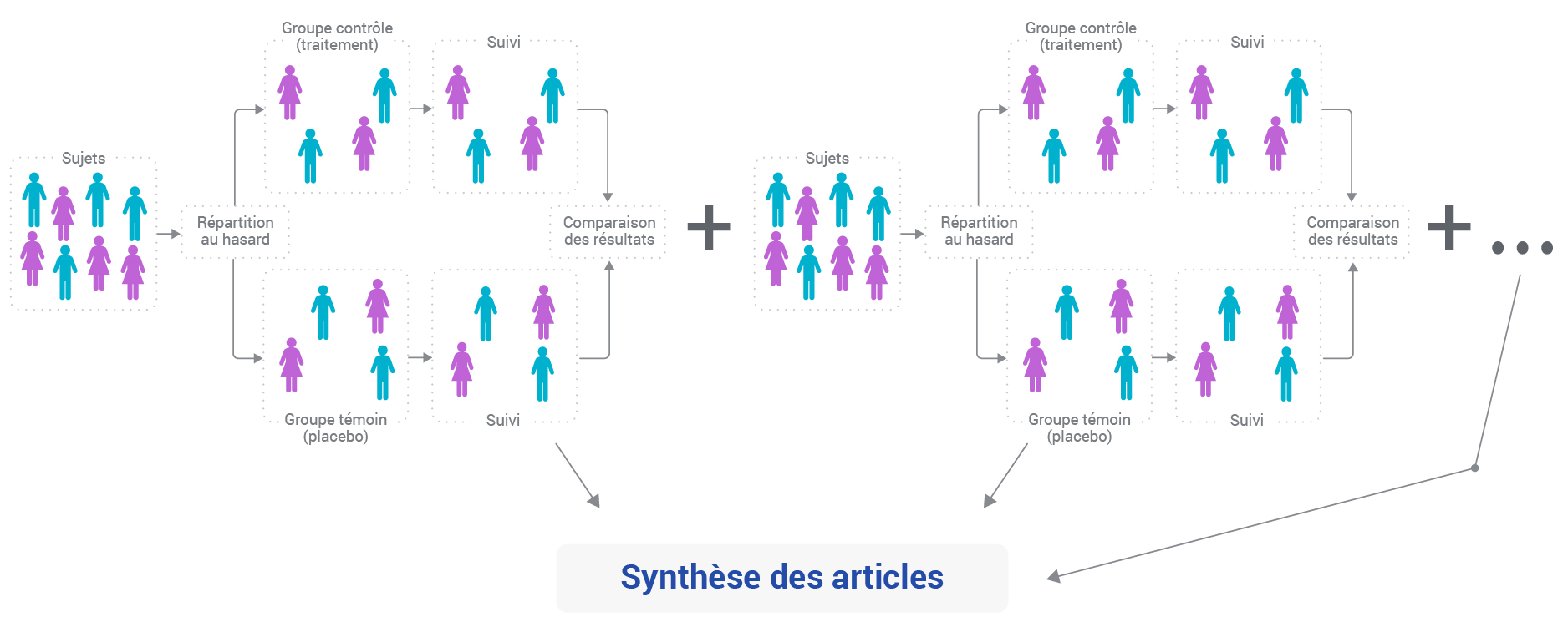 La revue systématique