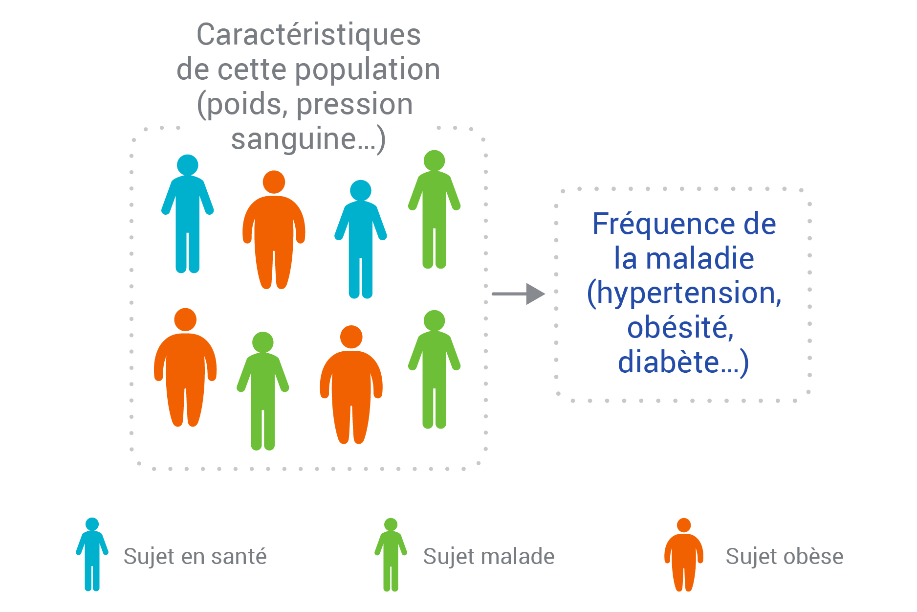 L’étude transversale
