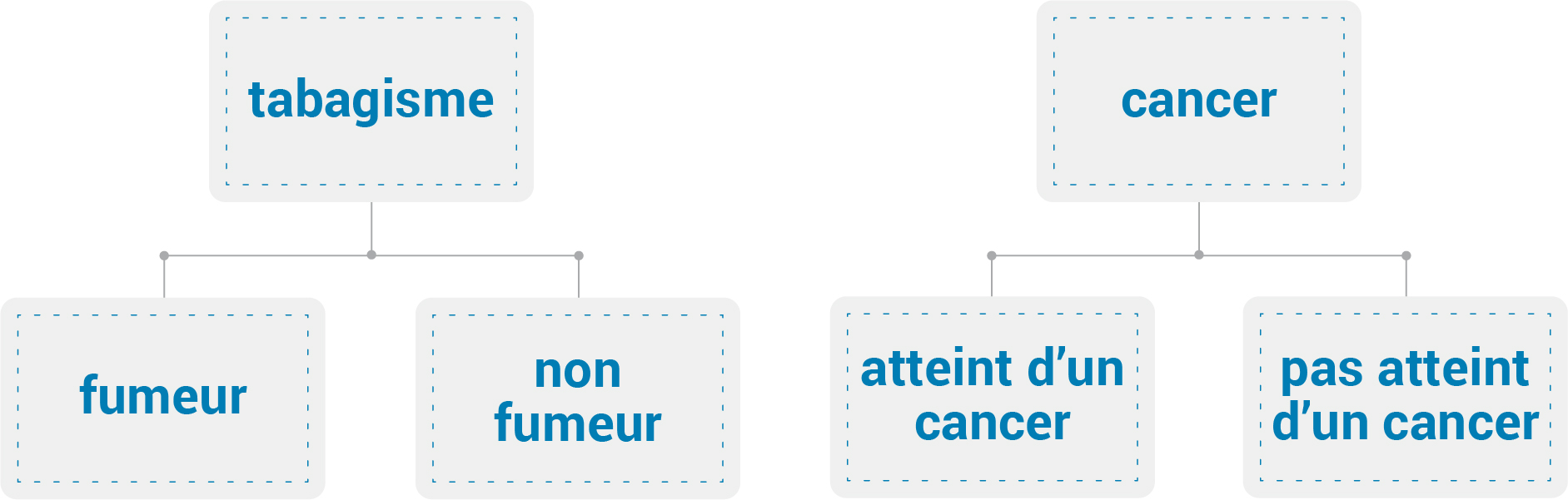 Une variable nominale dichotomique contient deux  catégories
